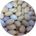Almonds Sugared - Mixed Colours
